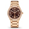 TWENTY~4 AUTOMATIC ROSE GOLD & BROWN DIAL 7300/1200R-001 7300-1201r-001c