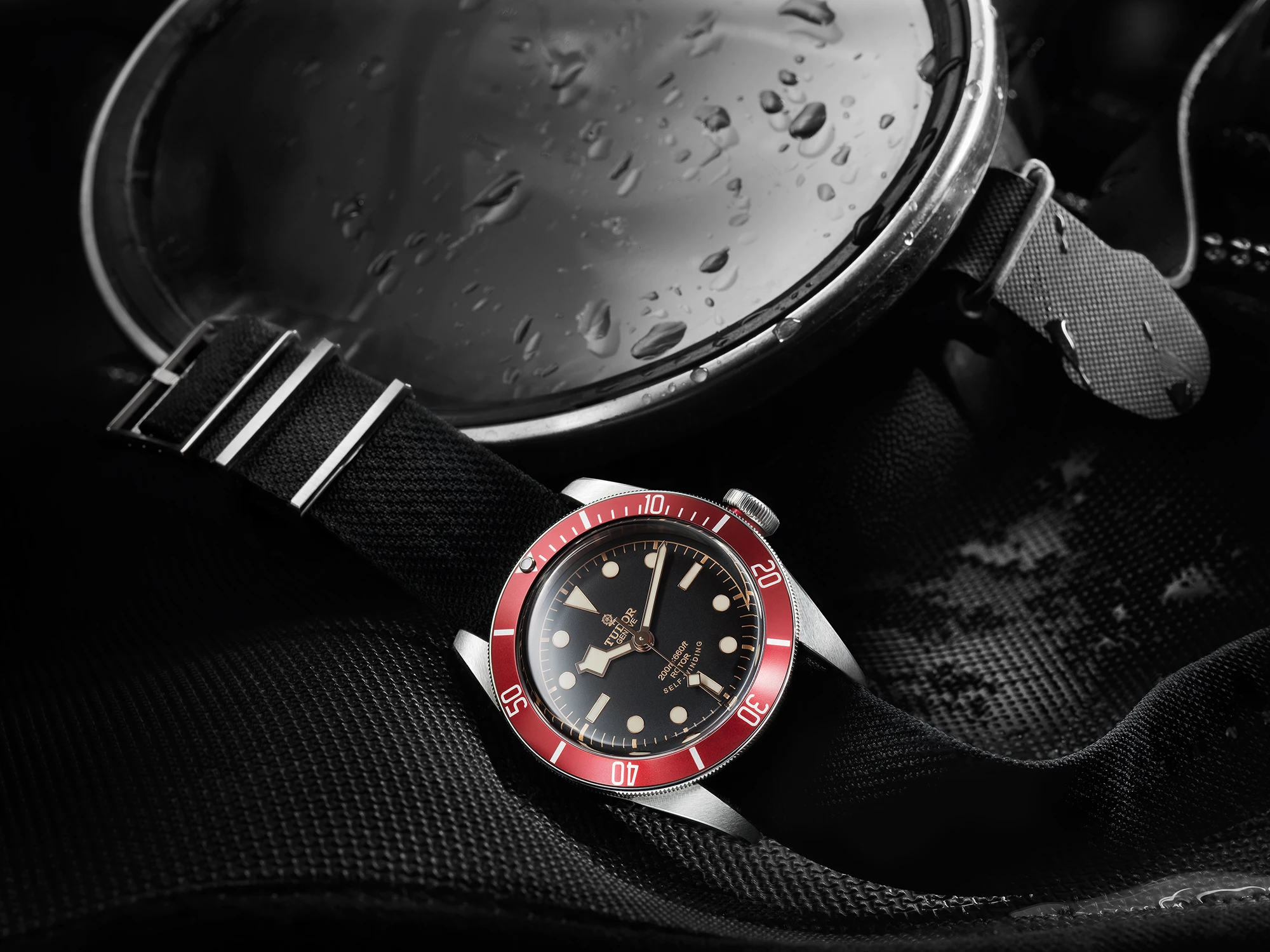 Tudor Black Bay