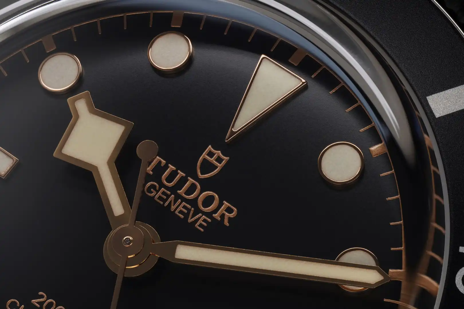 Tudor Black Bay