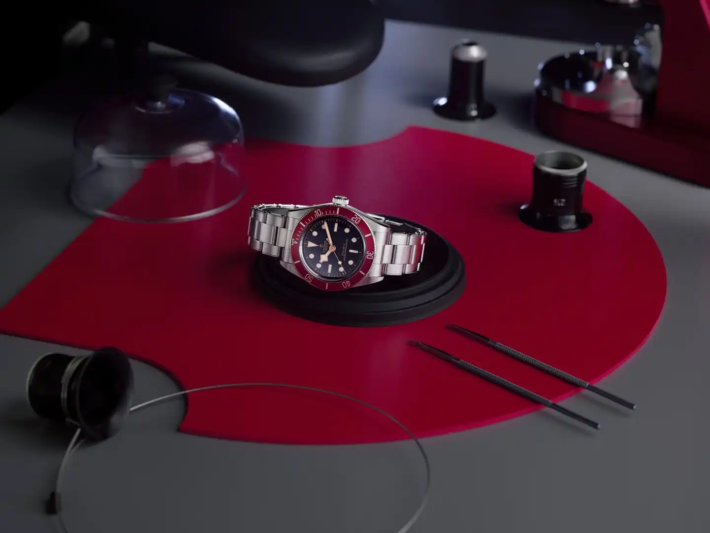 Tudor Black Bay