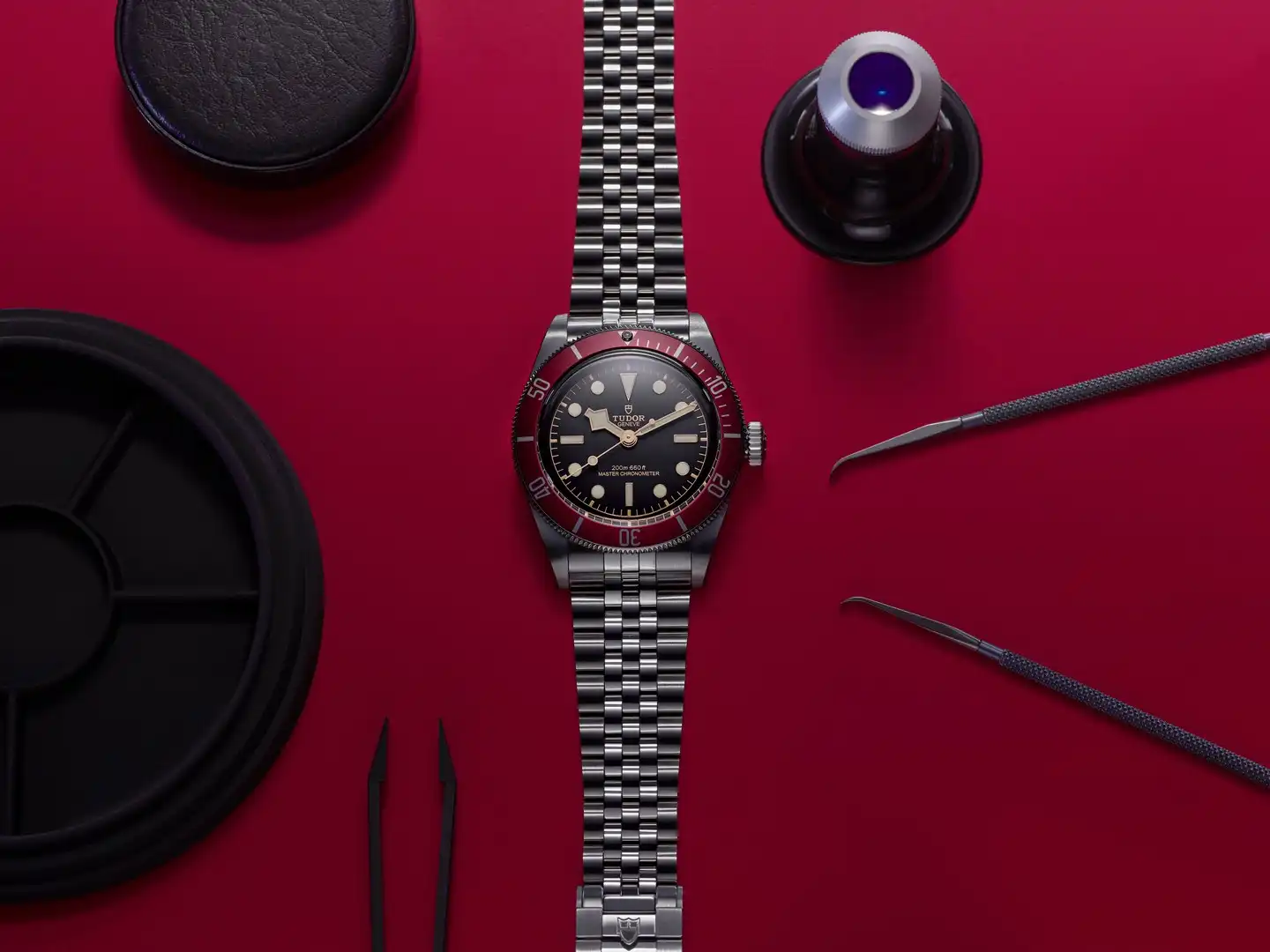 Tudor Black Bay
