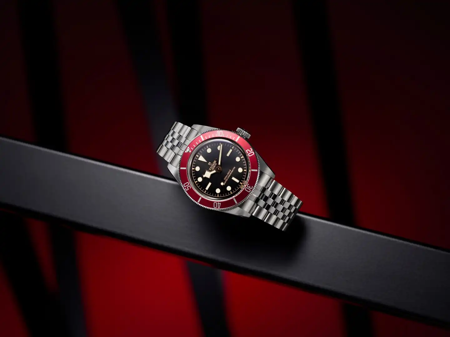 Tudor Black Bay