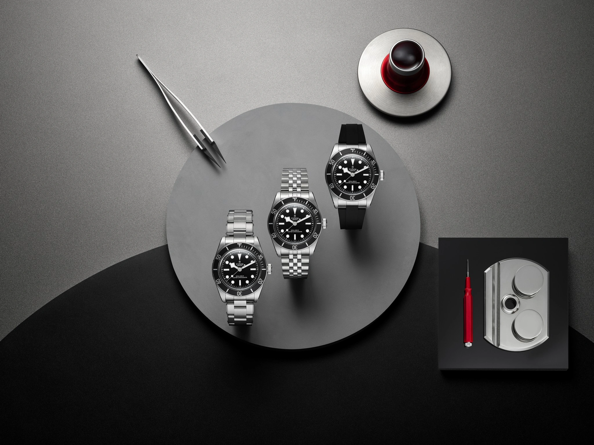 TUDOR Black Bay in Monochrome