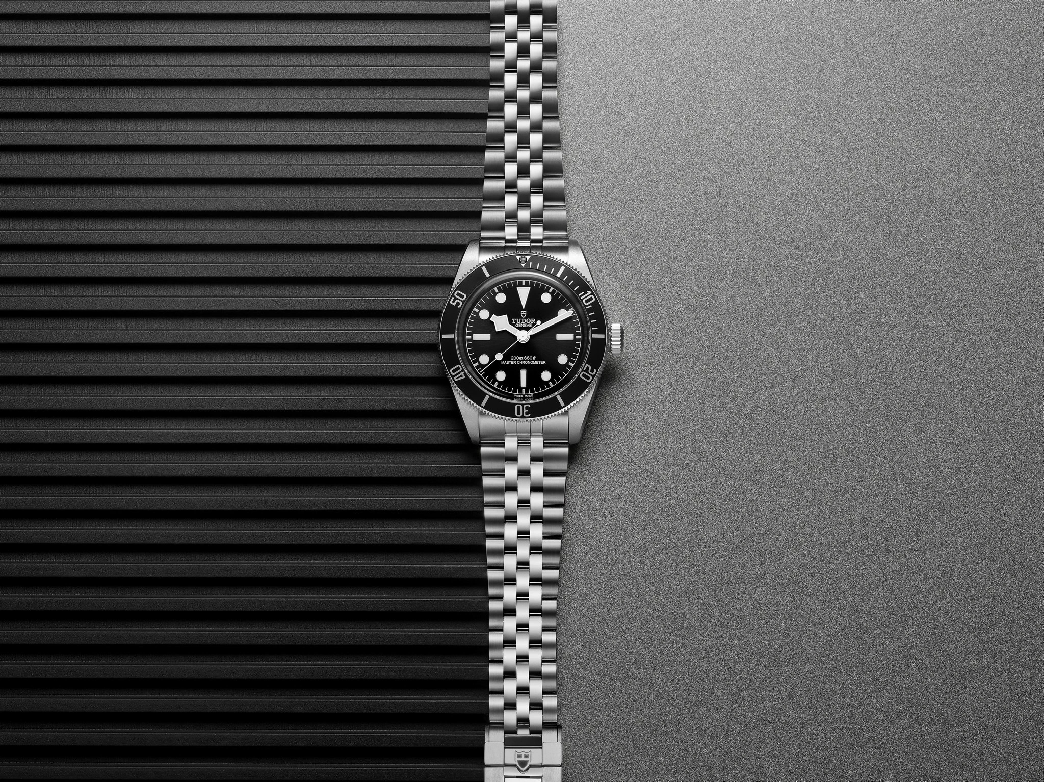 TUDOR Black Bay in Monochrome